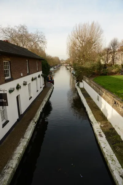 DSC_6080 (Large).JPG